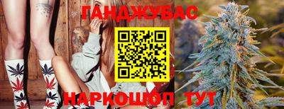 амф Боровичи