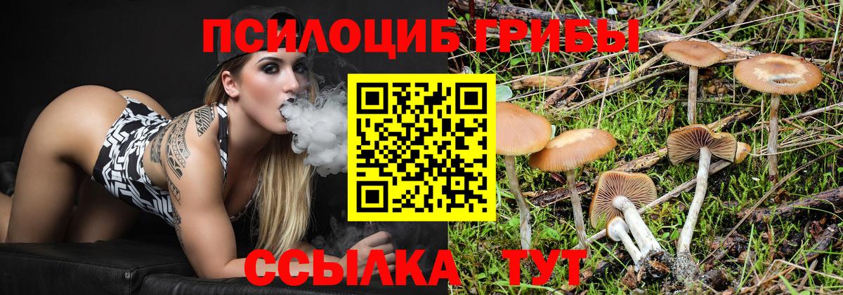 Галлюциногенные грибы мицелий  Вход с VPN  Дербент 