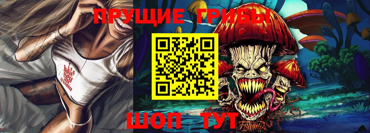 Псилоцибиновые грибы Cubensis Дербент